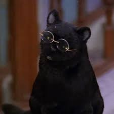 Create meme: Sabrina the little witch cat Salem, Salem the cat from Sabrina, Salem Sabrina the little witch