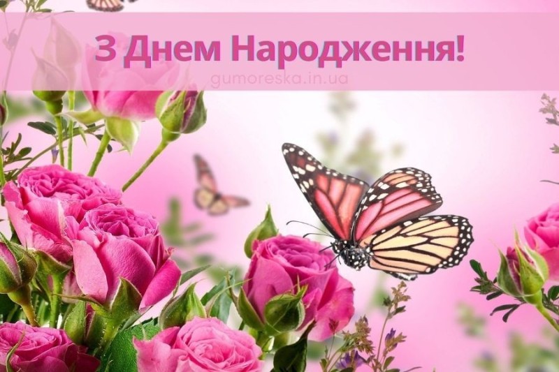 Create meme: postcard, the flowers are beautiful, pink roses 