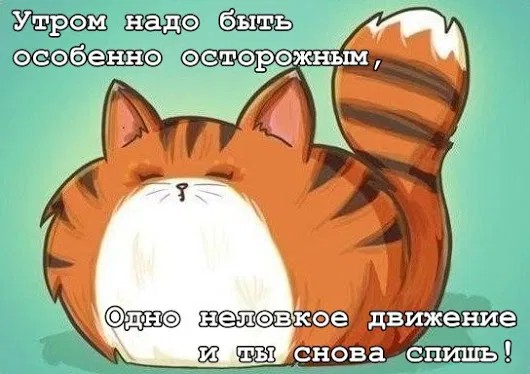 Создать мем: кошка, рисованные коты, доброго утра юмор