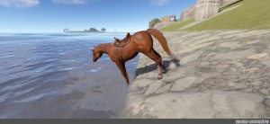 Создать мем: ультимейт лошадь симулятор 2, скриншот, ездовая лошадь