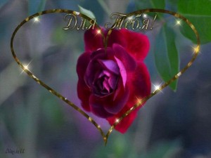 Create meme: beautiful cards, heart of the rose