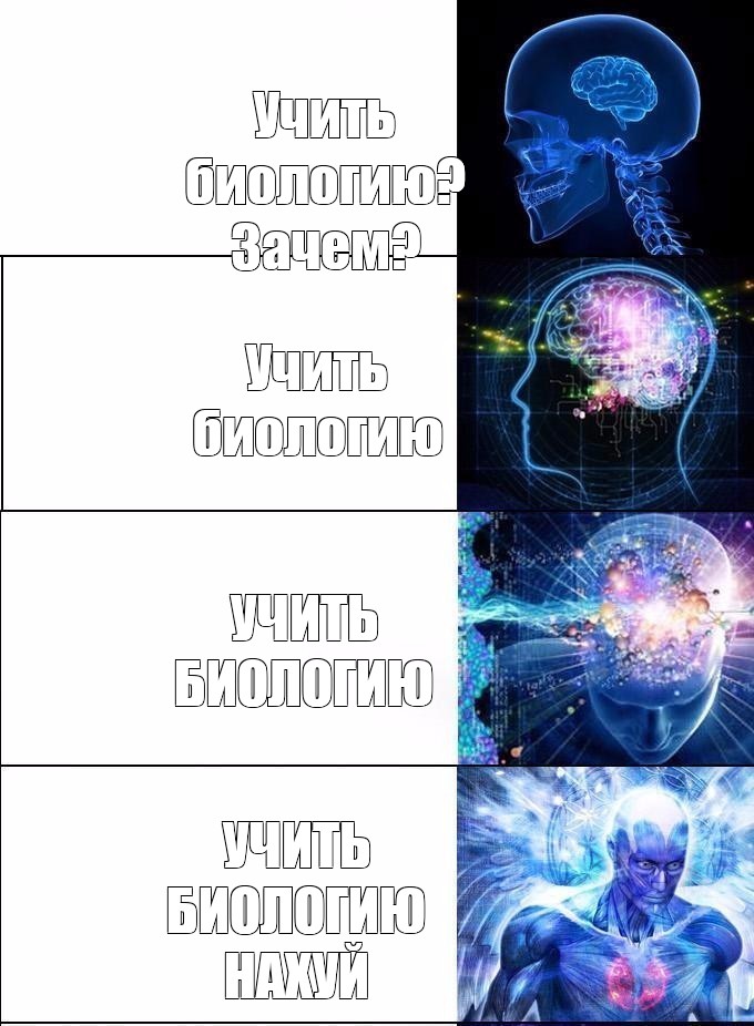 Картинка мегамозг мем