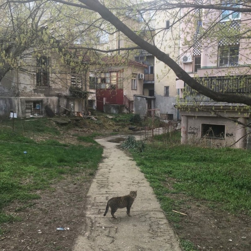 Create meme: courtyards of Pyatigorsk, in the yard, patio