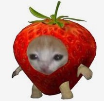 Создать мем: кот клубника, милая клубника, котики фрукты