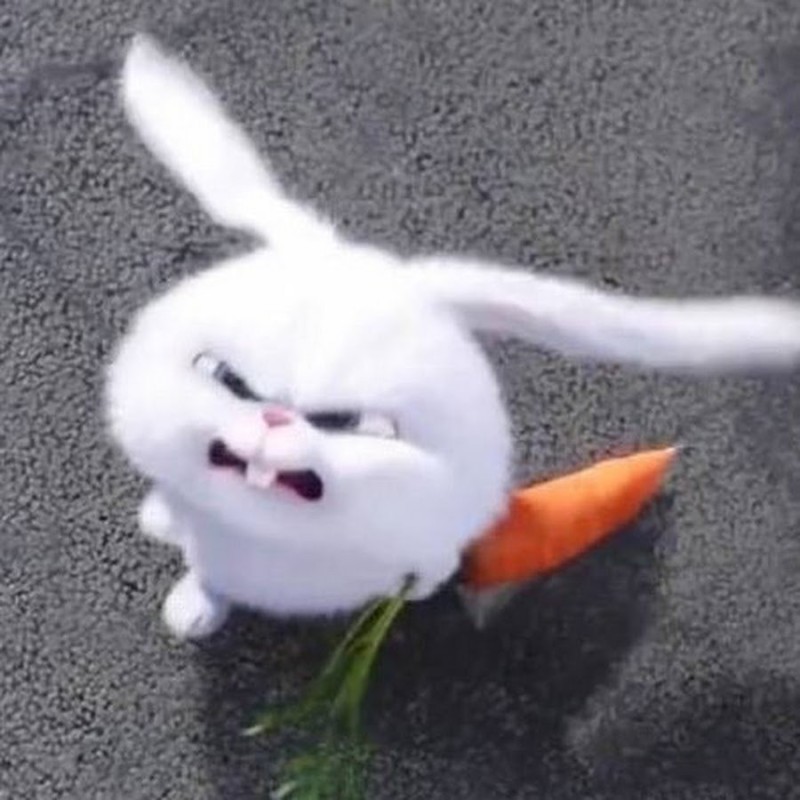Create meme: evil rabbit, evil rabbit, angry rabbit with a carrot
