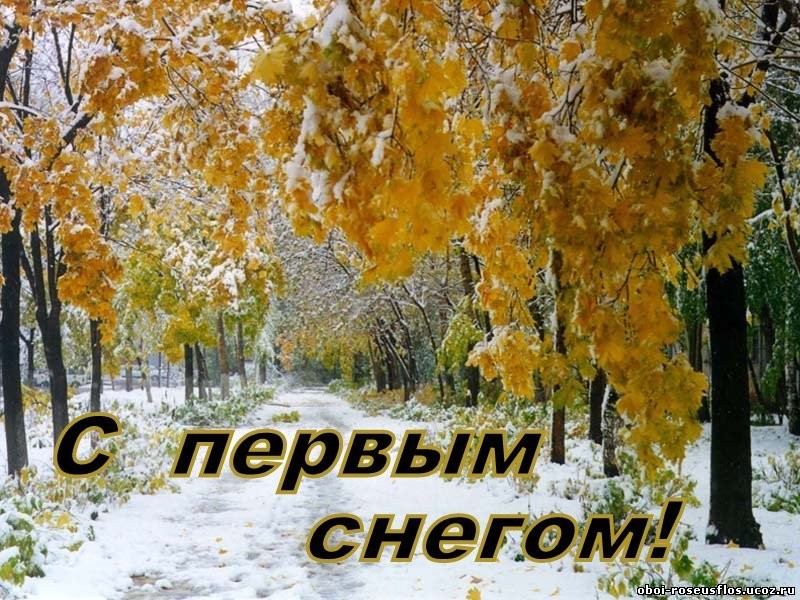 Create meme: the first snow, the first snow in autumn, autumn snow