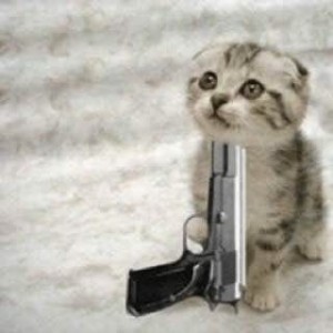 Create meme: cat with a gun, cat with guns