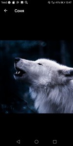 Create meme: soul of the wolf, white wolf, wolf