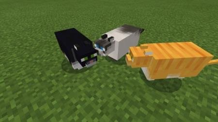 Create meme: minecraft cat, minecraft mod, minecraft cat