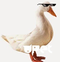 Create meme: duck white, goose, fun Gus