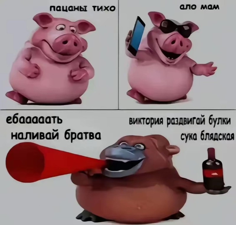 Create meme: pig of fun, funny pig, The boys are quiet hello mom