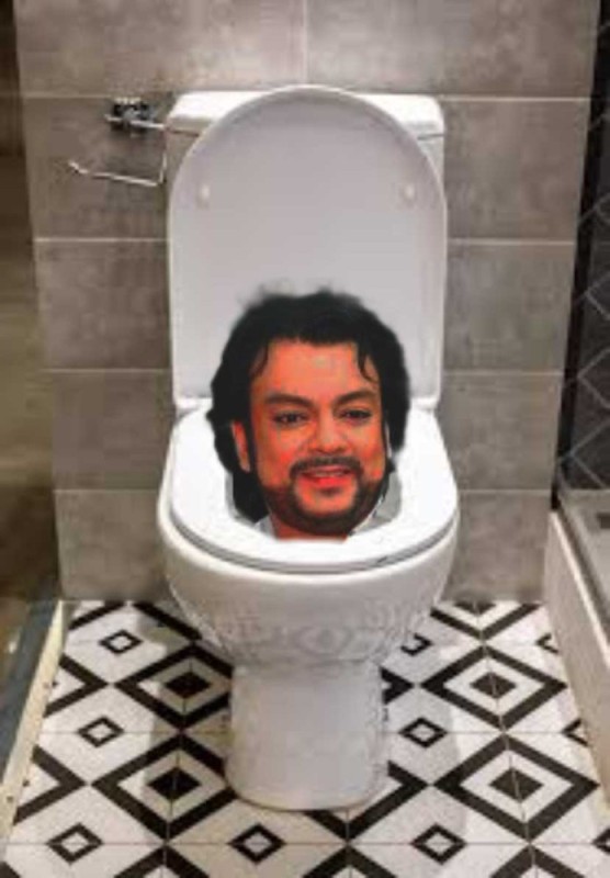 Create meme: open toilet bowl, toilet , the toilet 