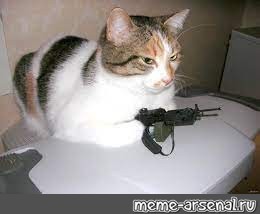 Create meme: a cat with a gun, the cat robs, animals cute