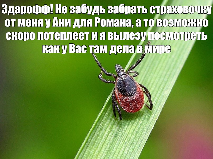 Возможно скоро