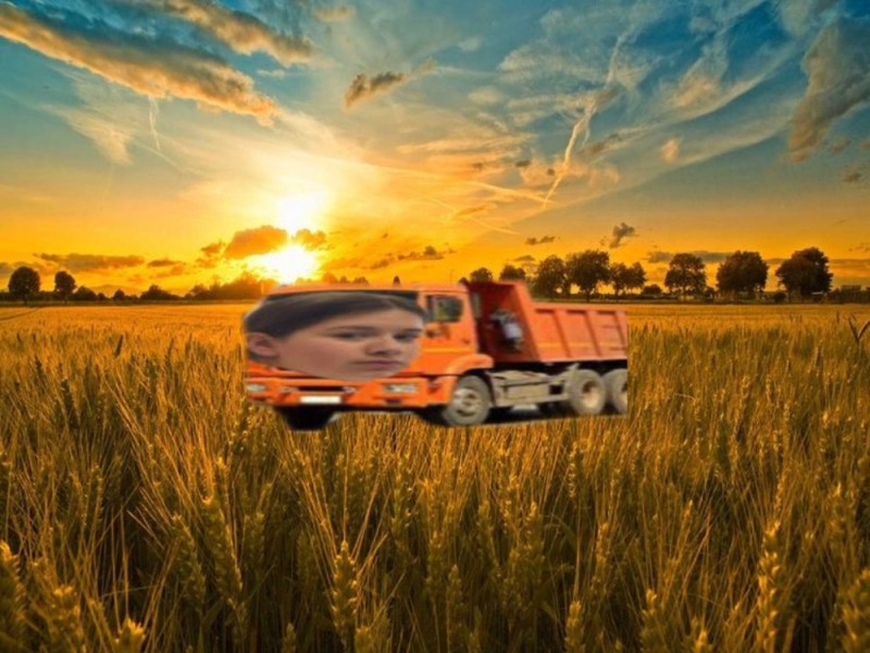 Создать мем: грузовик с зерном, поле пейзаж, поле пшеницы