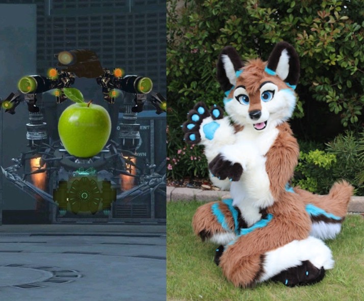 Create meme: pursuit, furcute tail, fursuit husky