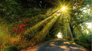 Create meme: country road, sunbeam, morning sun GIF