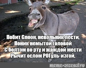 Создать мем: null