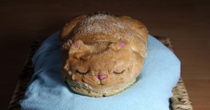 Create meme: cat bread