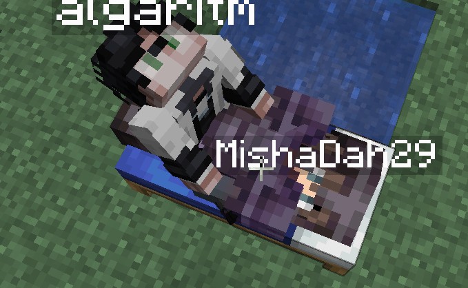 Create meme: Minecraft panda, skin, minecraft PE