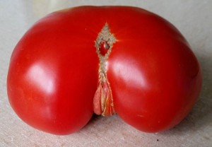 Create meme: tomato, tomato