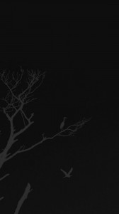 Create meme: Dark Nature, dark tree, background of dark trees scary