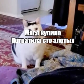 Создать мем: null