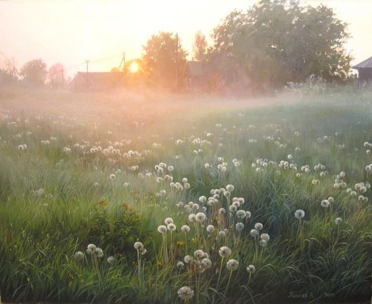 Create meme: morning landscape, morning meadow, summer morning fog august