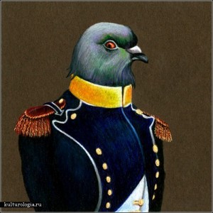 Create meme: Michael dove, fighting pigeon, dove