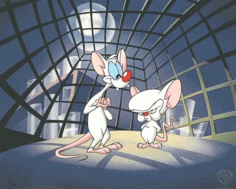 Create meme: brain kicks, pinkie and brain cartoon, pinky and brain take over the world