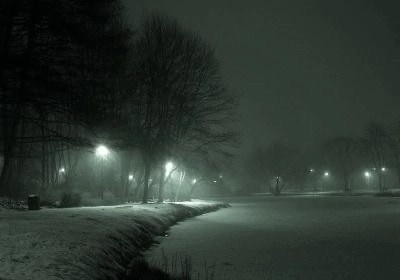 Create meme: winter night, fog night park, winter night