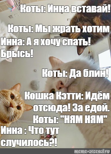 Meme: "Когда ждешь в подарок сертификат Sunday Rock" - All Templates - Meme-arse