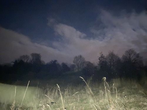 Create meme: darkness, nature , field at night in the village