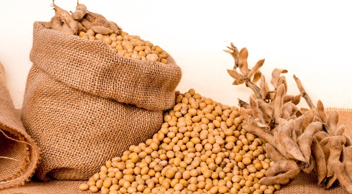 Create meme: a bag of grain, soybeans, soy