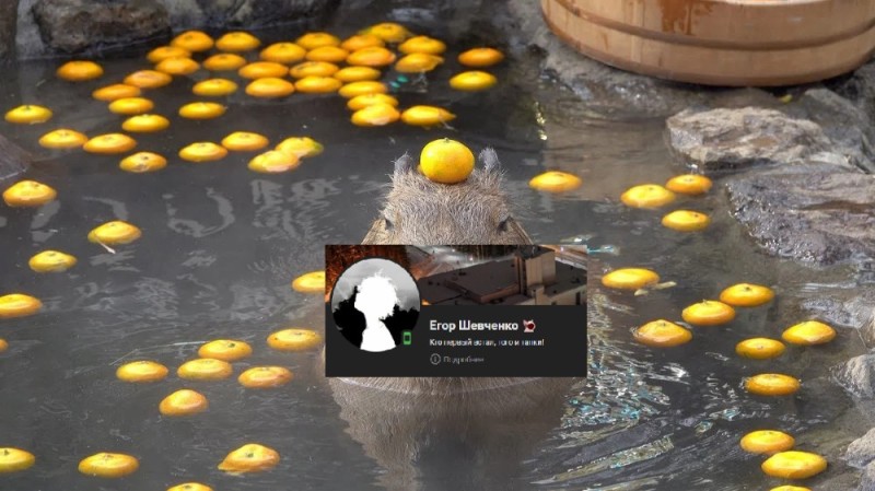 Create meme: a capybara with a tangerine on its head meme, onsen with citrus fruits, capybara with orange