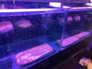 Create meme: Moscow bird market fish guppies, Seville aquarium, marine aquarium 60 liters