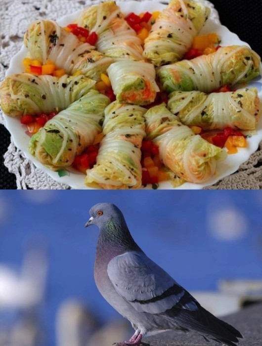 Create meme: cabbage rolls from Peking cabbage, cabbage rolls with Peking cabbage, unusual snacks