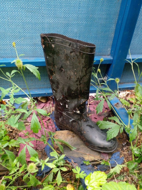 Create meme: rubber boots, boots , boots in manure