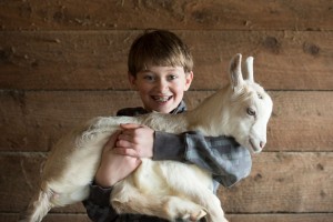 Create meme: Pets, goat's milk