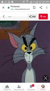 Create meme: Cartoon, tom and jerry funny faces, tom and jerry cartoon