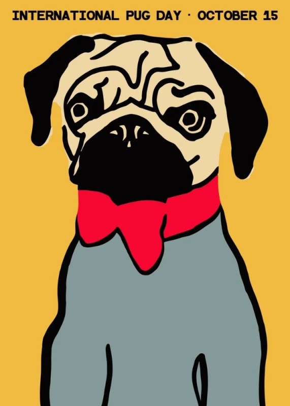 Create meme: pug dog , pug dog , pug art