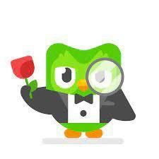 Create meme: duolingo duo, duolingo, owl duolingo