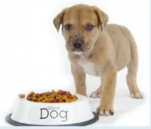 Создать мем: собачий корм, щенок огрызается возле миски, еда для собак