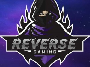 Create meme: gamer, shadow game, assassin logo
