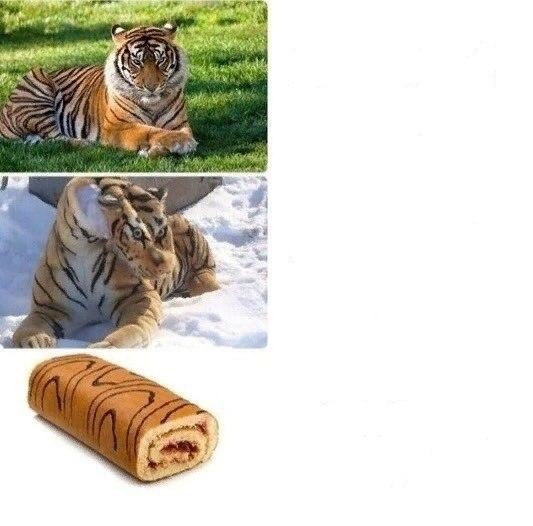 Create meme: tiger mem roll, meme tiger, memes with a tiger and a roll