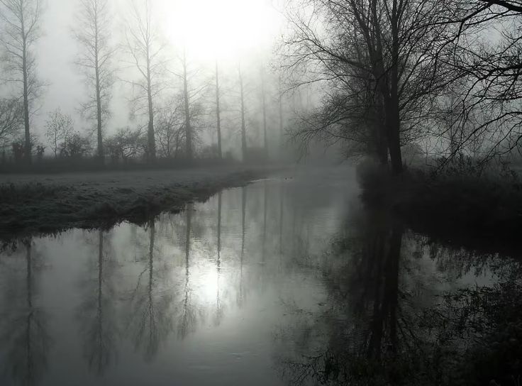 Создать мем: туман река, мрачные фотографии, лес мрачный