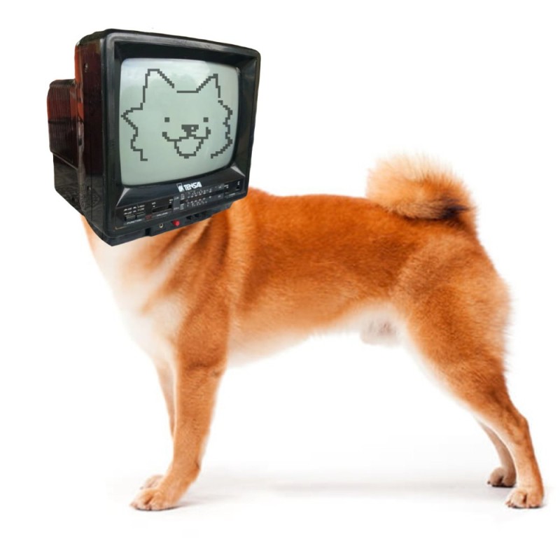 Create meme: inu shiba, breed Akita inu, shiba inu 