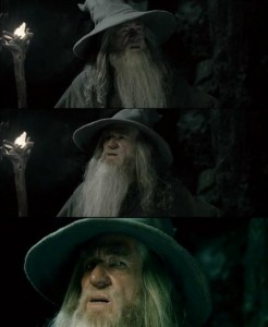 Create meme: Gandalf in Moria, Gandalf meme, Gandalf