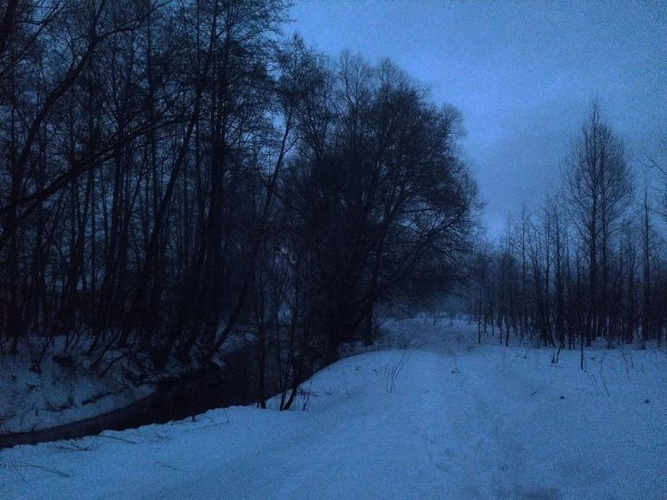 Create meme: winter is dark, winter landscape, gloomy winter