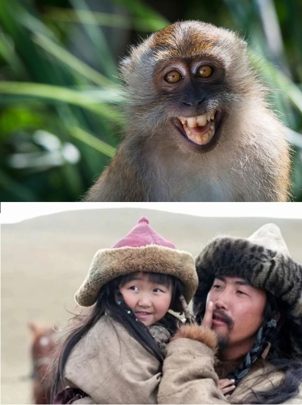Create meme: dry - nosed primates, a monkey with a black muzzle, monkey smiles meme without teeth